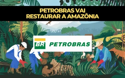 Petrobras surpreende o mundo ao revelar que vai restaurar a Amazônia com investimento milionário