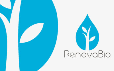 Lista suja do RenovaBio será divulgada no próximo dia 21