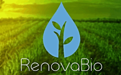RenovaBio: ANP aprova primeiro certificado da produção eficiente de biocombustíveis para importador de biocombustíveis