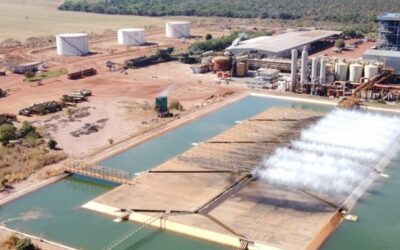 Sada investe R$ 1,1 bilhão em usinas flex de etanol de milho e cana em GO e MG