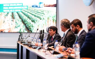 Indústria quer usar COP30 para rebater concorrência entre biocombustíveis e alimentos