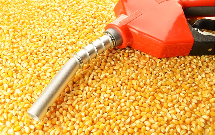 Rio Verde (GO) triplica PIB em dez anos e aposta em “nova era do milho”