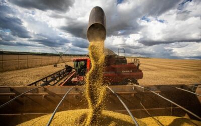 Risco ao abastecimento de óleo diesel acende alerta para impactos no agronegócio goiano