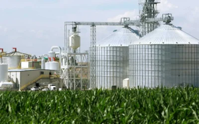 Goiás se prepara para assumir 2º lugar na produção de etanol de milho no Brasil